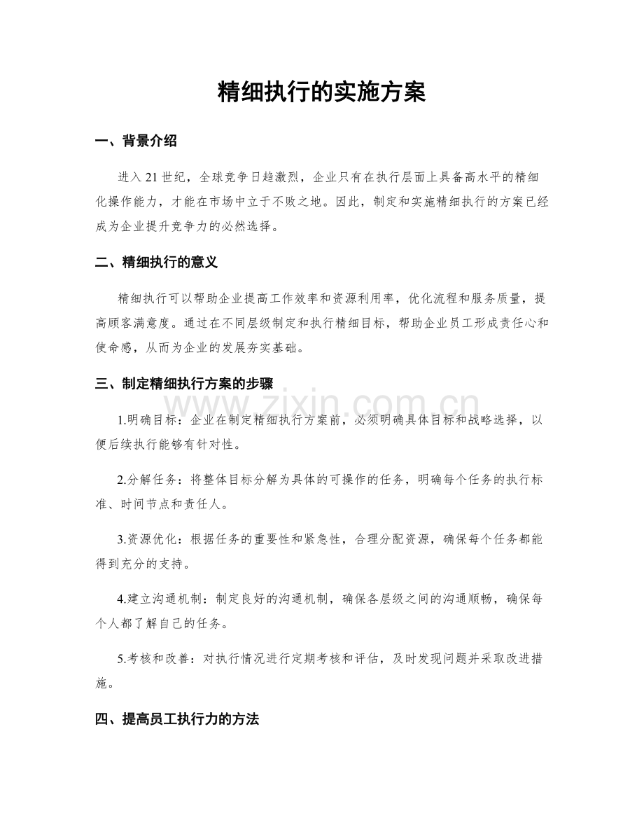 精细执行的实施方案.docx_第1页