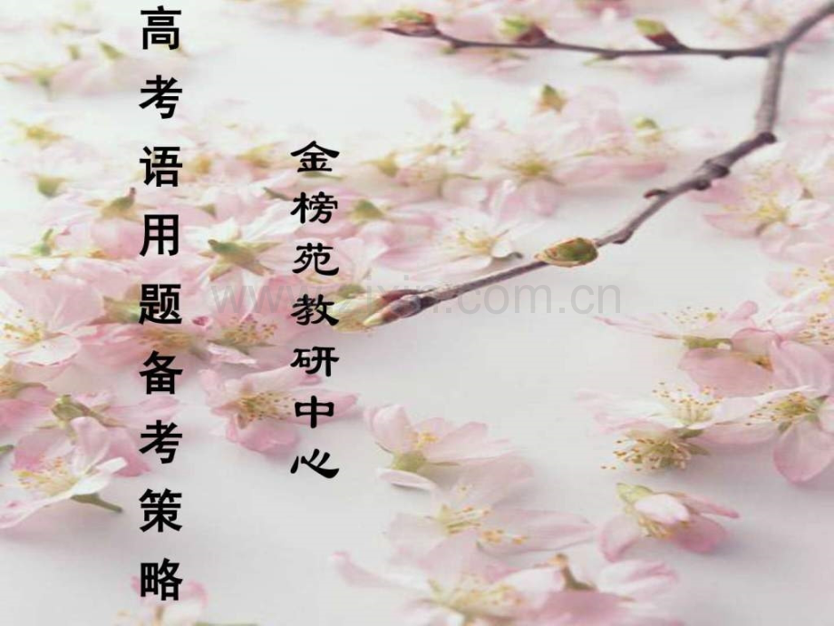 高考语文语用题备考策略.pptx_第1页