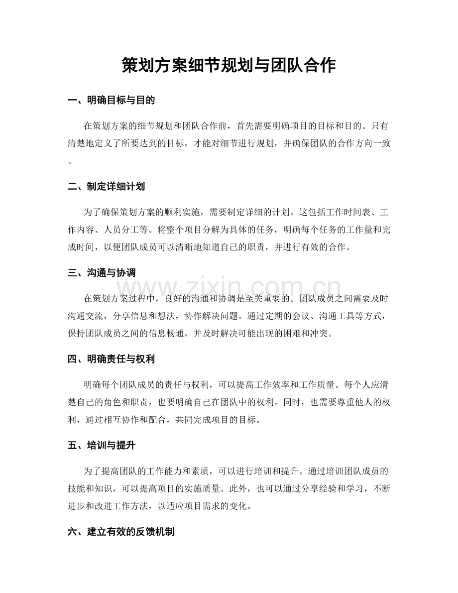策划方案细节规划与团队合作.docx_第1页