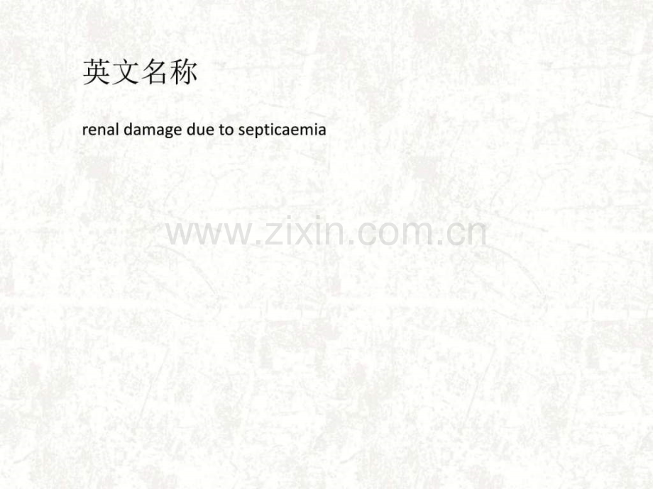败血症肾损害.pptx_第2页