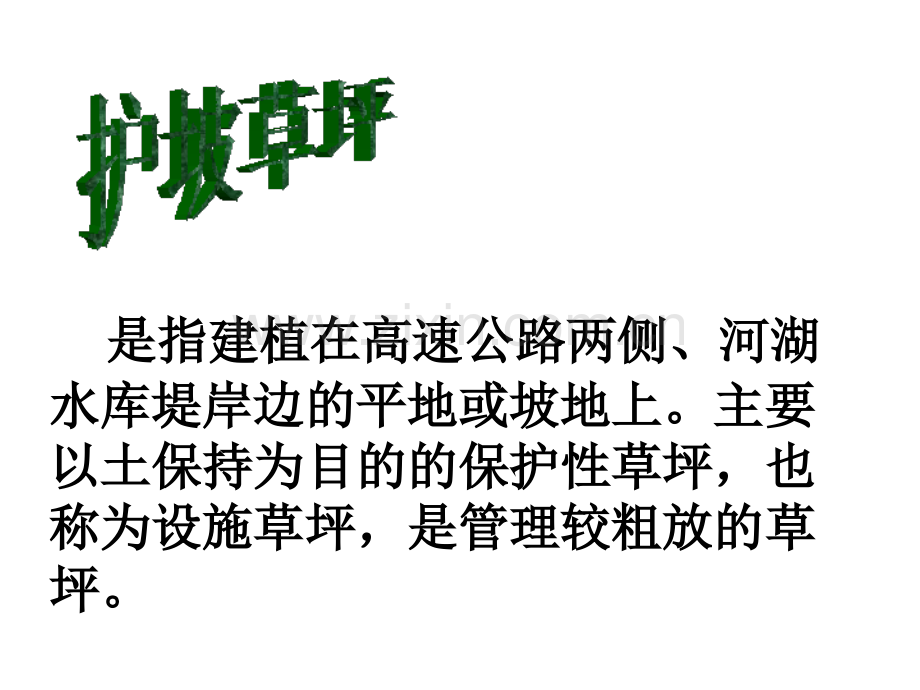 护坡草坪.pptx_第2页