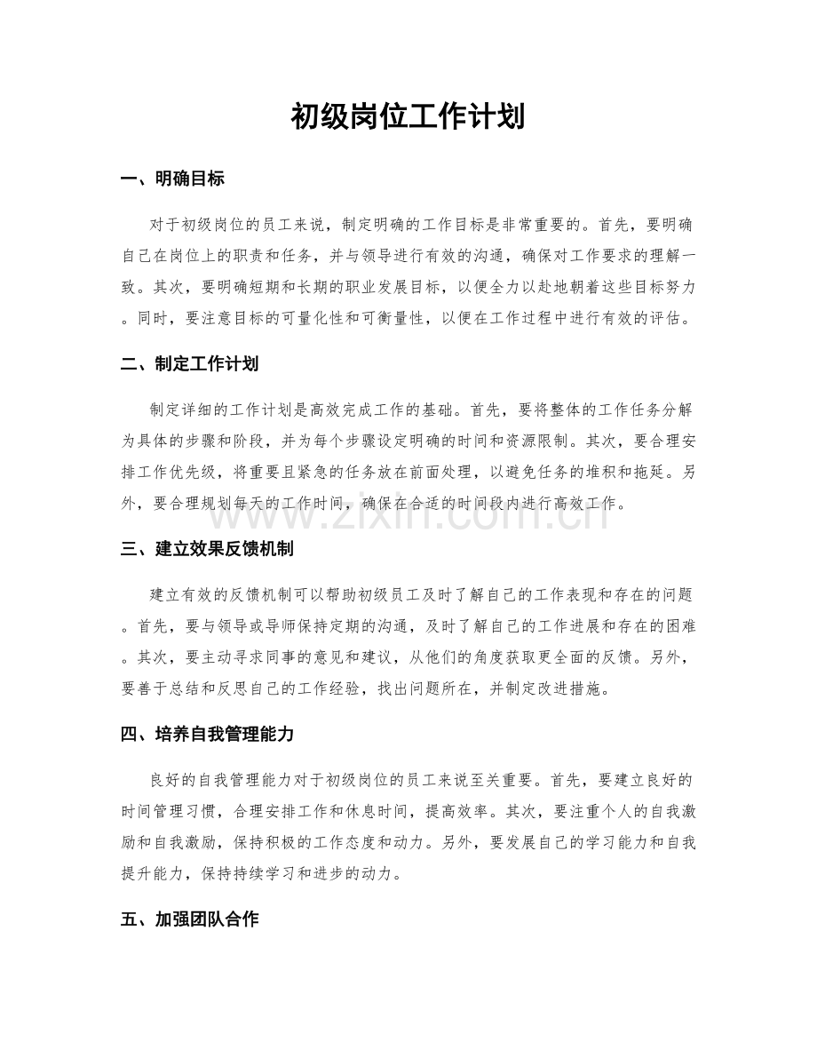 初级岗位工作计划.docx_第1页