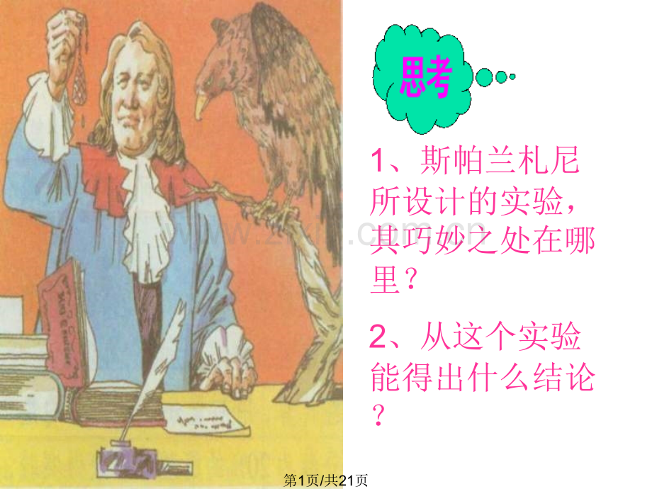 九年级科学酶发现.pptx_第1页