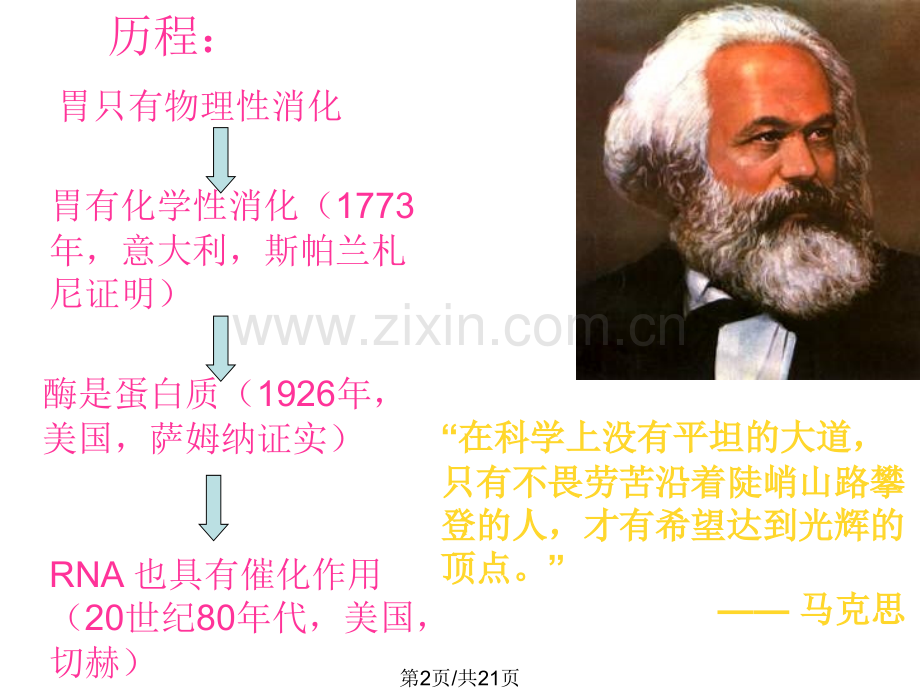 九年级科学酶发现.pptx_第2页
