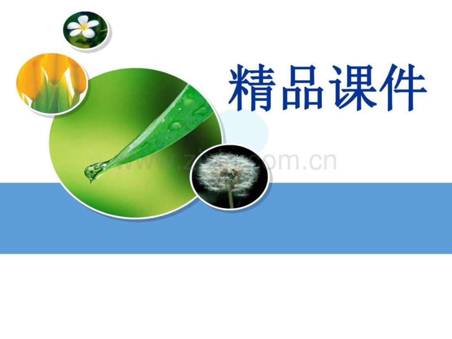 急诊分诊与急诊护理评估收藏.pptx_第1页