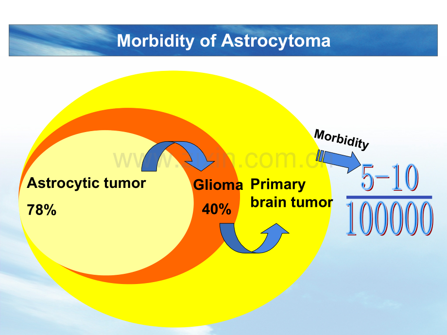 星形细胞瘤.pptx_第2页