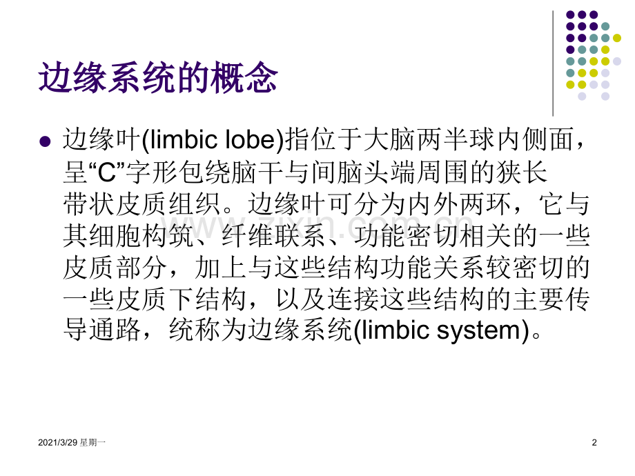 边缘系统的解剖与临床.ppt_第2页