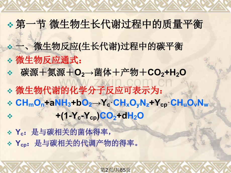 五发酵动力学.pptx_第2页