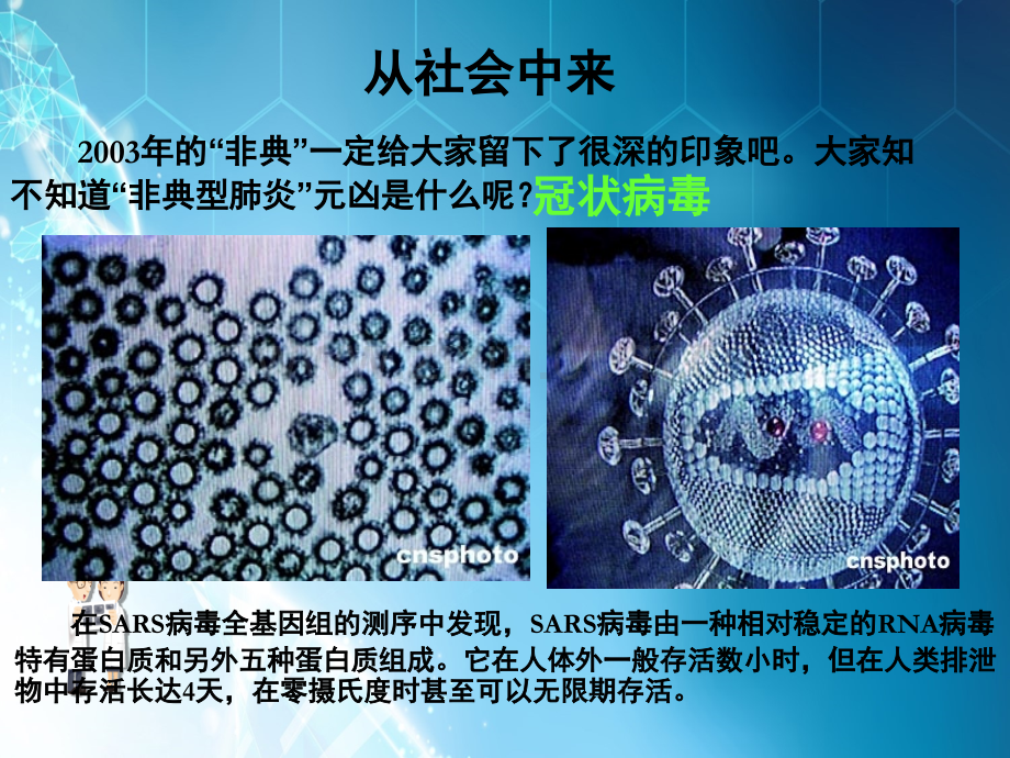 高中生物(人教版)生物技术药物与疫苗课件(2)课件.ppt_第2页