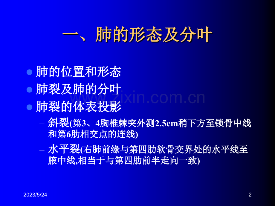 肺部基础X片及CT片解读.ppt_第2页