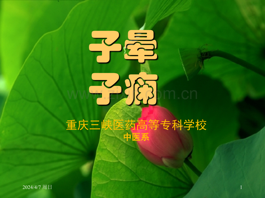 23子晕子痫.pptx_第1页