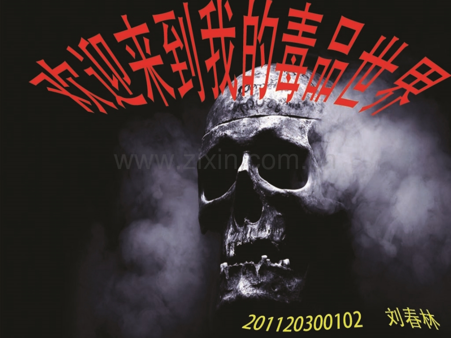 化学与毒品.pptx_第1页