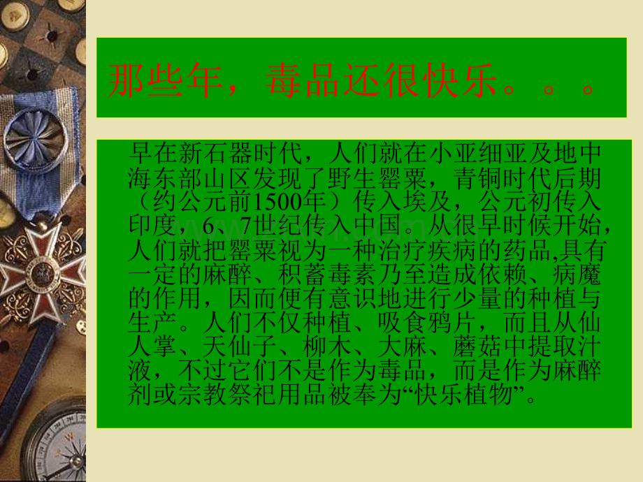 化学与毒品.pptx_第2页