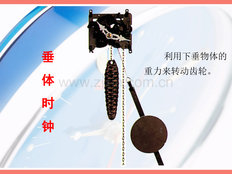 小学科学垂体时钟.pptx_第2页