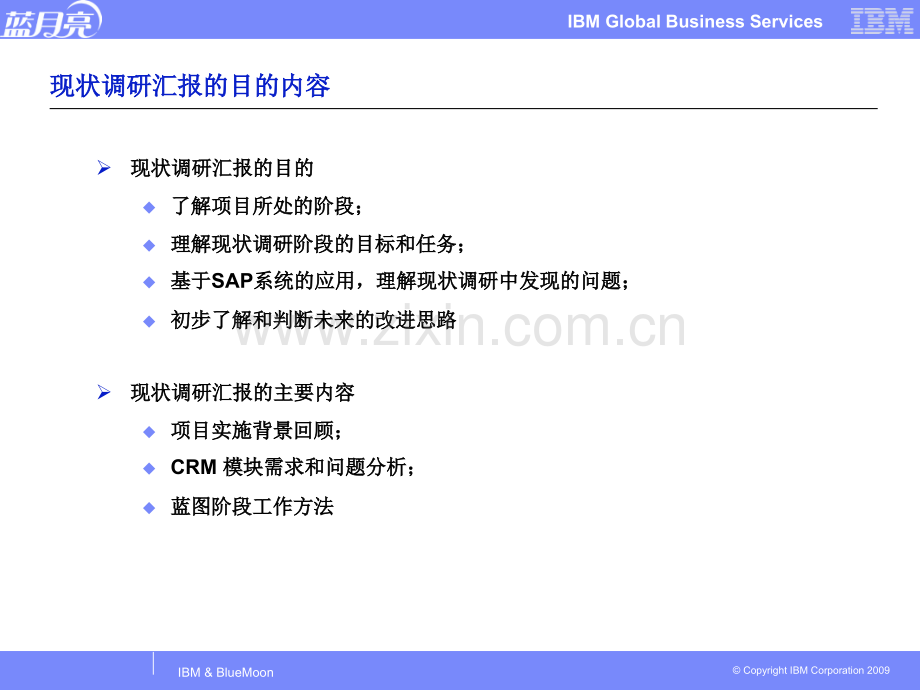 蓝月亮现状调研报告V.pptx_第2页