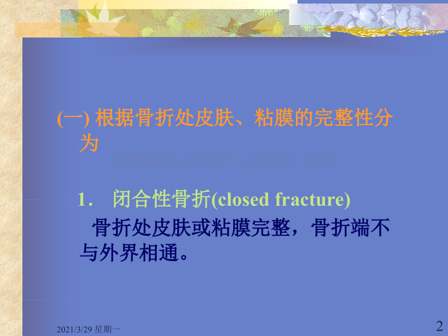 骨折的分类.ppt_第2页