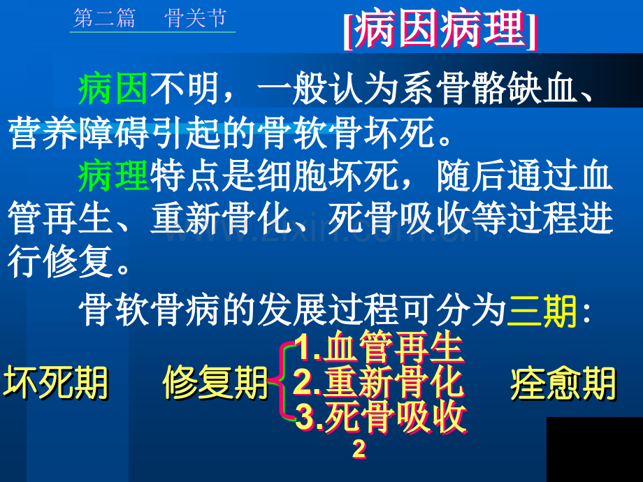 骨骼感染.pptx_第2页