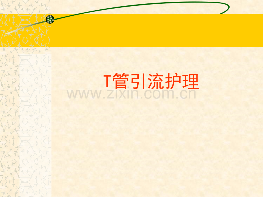 T管护理ppt.pptx_第1页