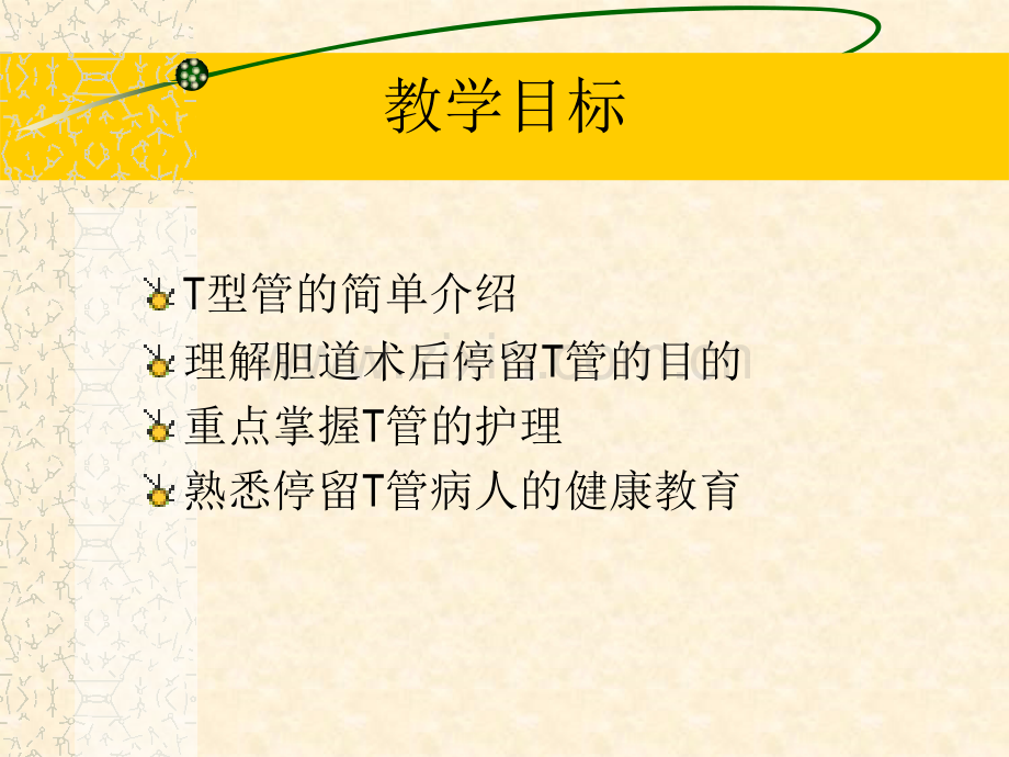 T管护理ppt.pptx_第2页