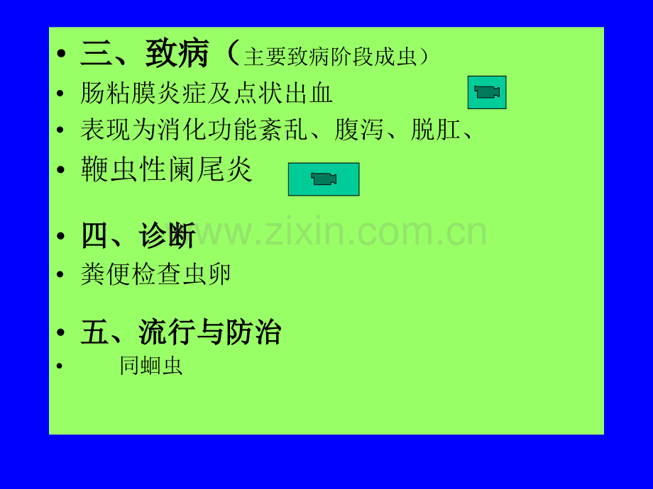22鞭蛲虫.pptx_第2页