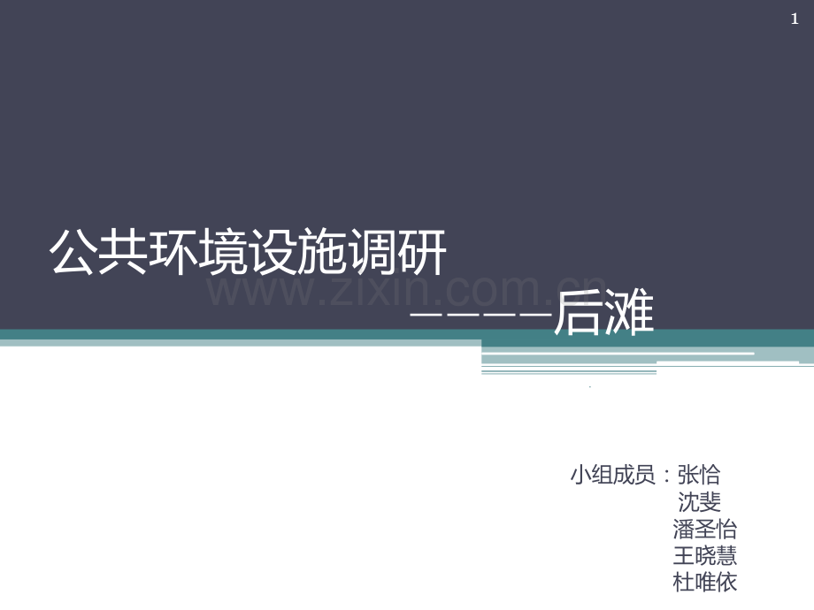 公共环境设施调研.ppt_第1页