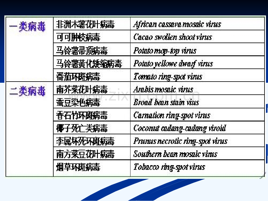 危险性植物病毒线虫.pptx_第1页