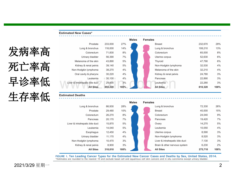 11食管癌放化疗面临的挑战与对策.ppt_第2页