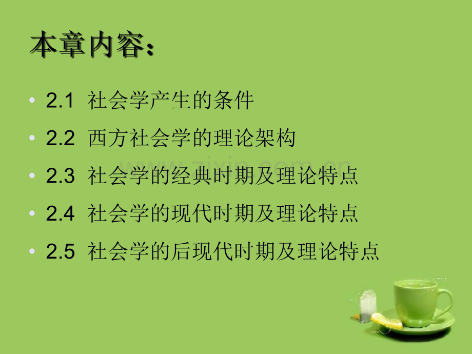 社会学学科发展史.pptx_第2页