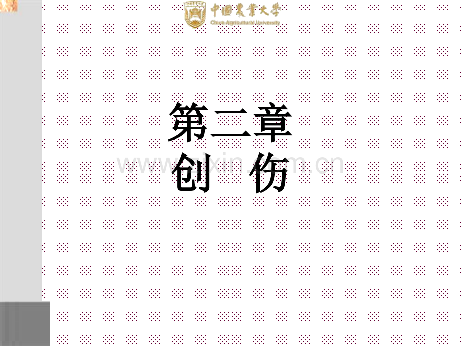 兽医外科学创伤.pptx_第1页