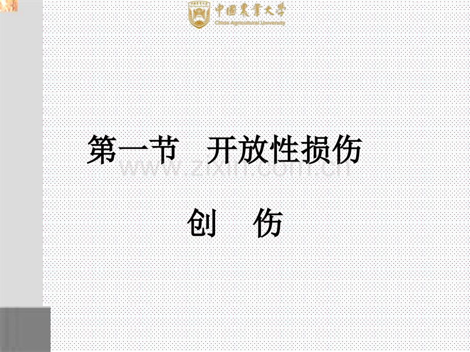 兽医外科学创伤.pptx_第2页