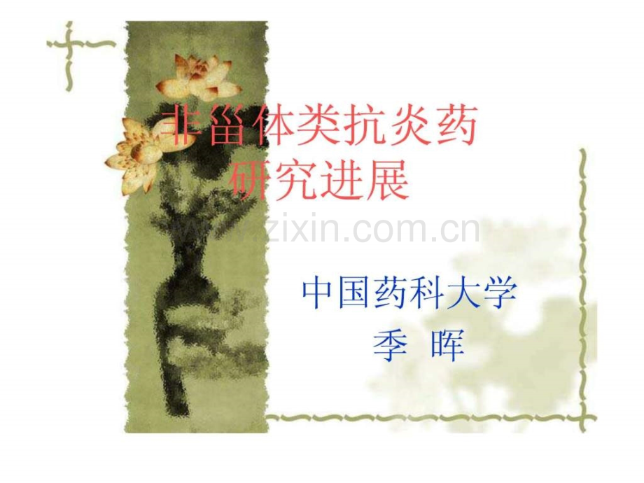非甾体类抗炎药研究进展(09本.pptx_第1页
