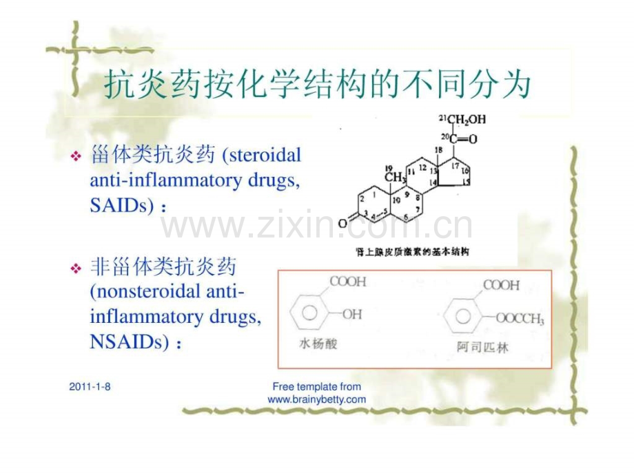 非甾体类抗炎药研究进展(09本.pptx_第2页
