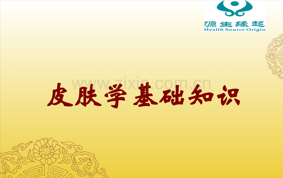 皮肤学基础知识目前最清晰的版本.pptx_第1页