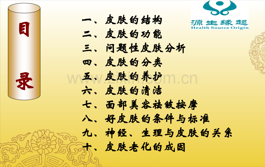 皮肤学基础知识目前最清晰的版本.pptx_第2页