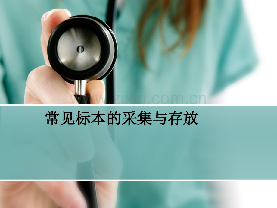 常见标本的采集与存放.pptx_第1页