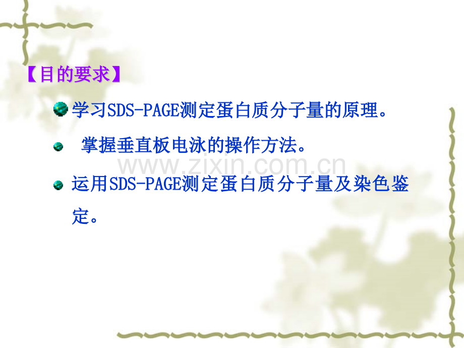 测定蛋白质相对分子质量.pptx_第1页