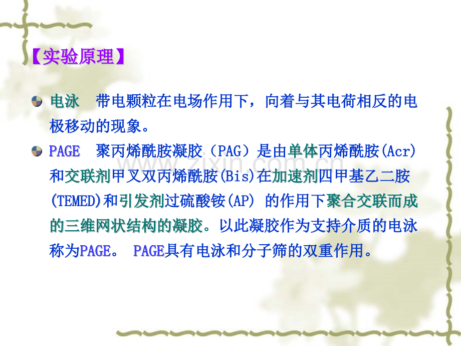 测定蛋白质相对分子质量.pptx_第2页