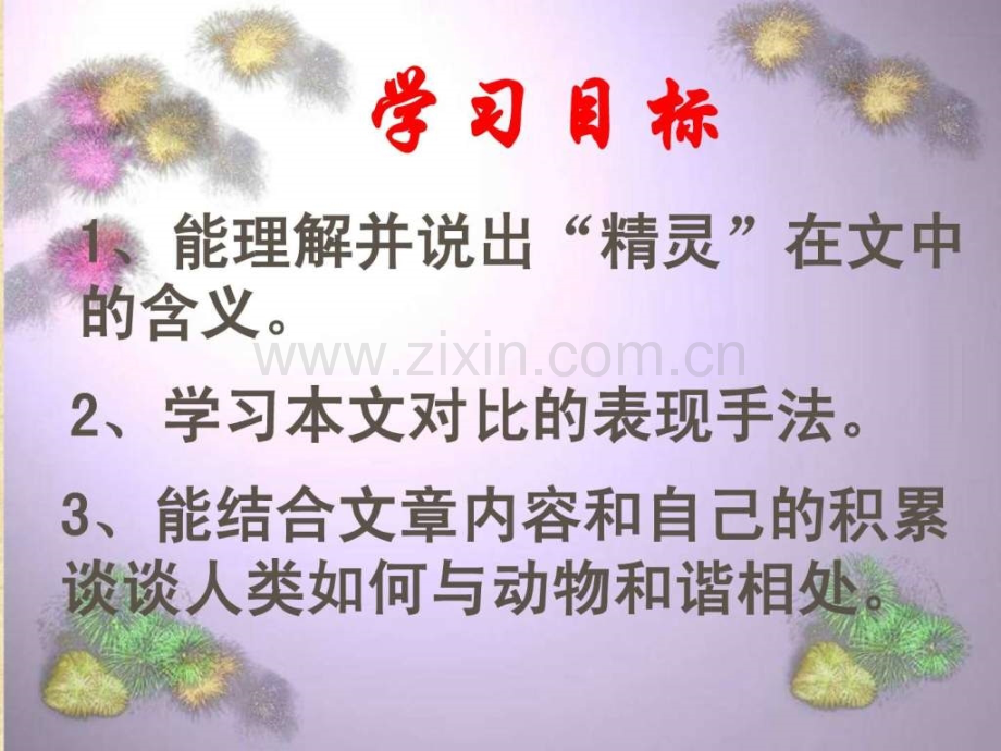 苏教版八级上都市精灵.pptx_第1页