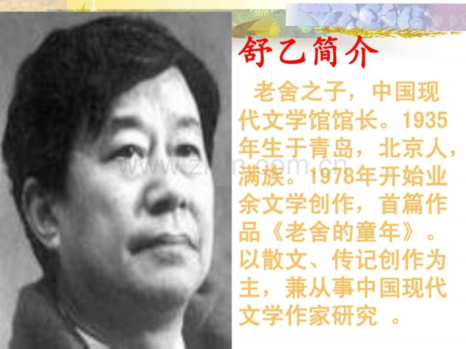 苏教版八级上都市精灵.pptx_第2页