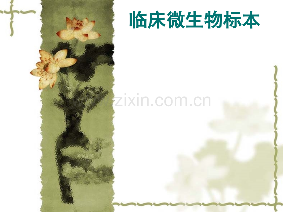 临床微生物标本采集规范.ppt_第1页