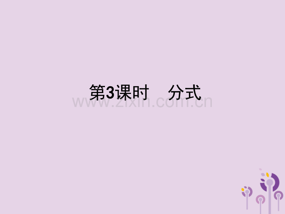 中考数学总复习分式版.pptx_第1页