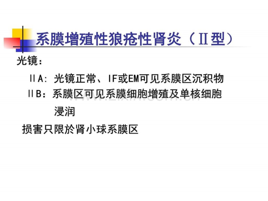 狼疮性肾炎的诊治图文.pptx_第1页