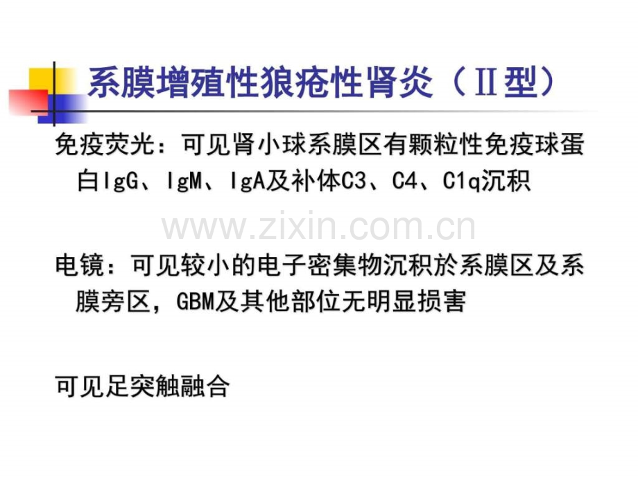 狼疮性肾炎的诊治图文.pptx_第2页