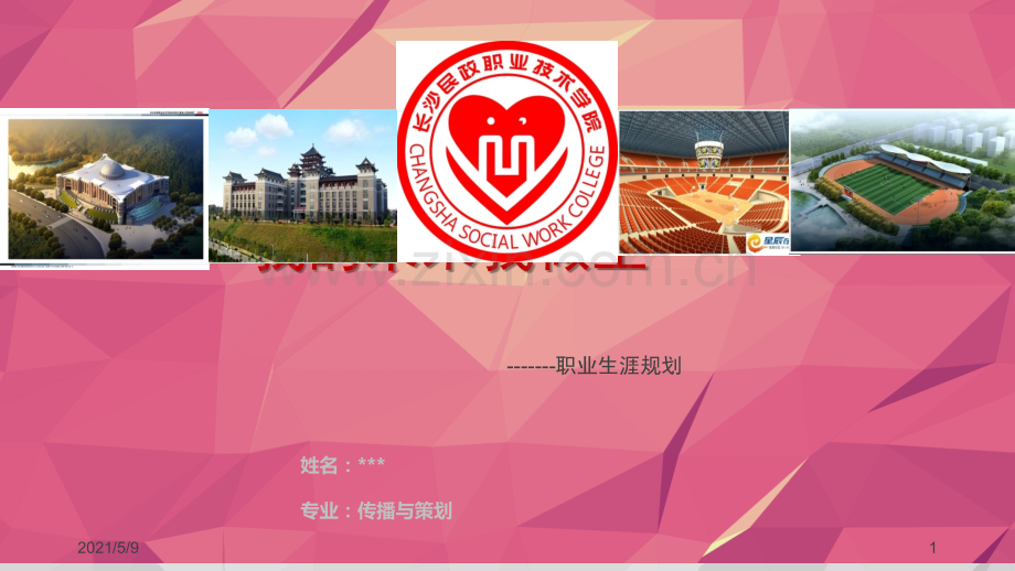 大学生职业生涯规划--.ppt_第1页