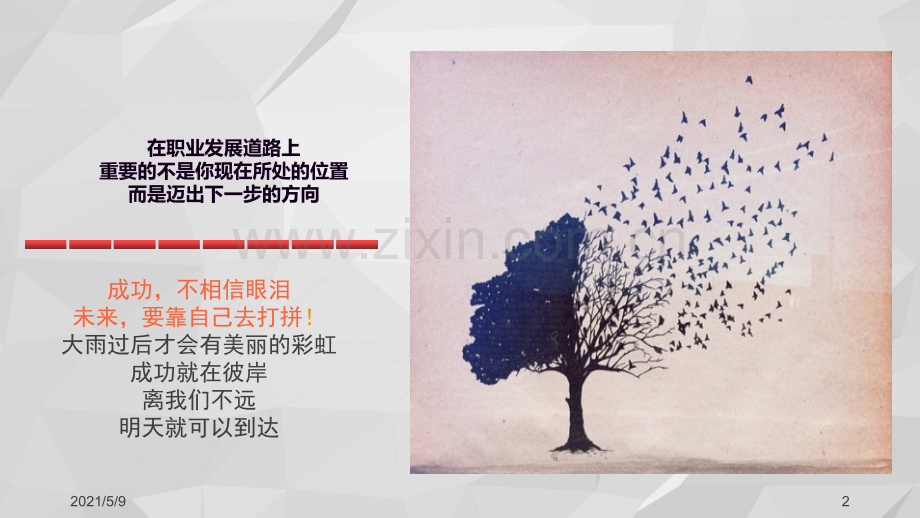 大学生职业生涯规划--.ppt_第2页