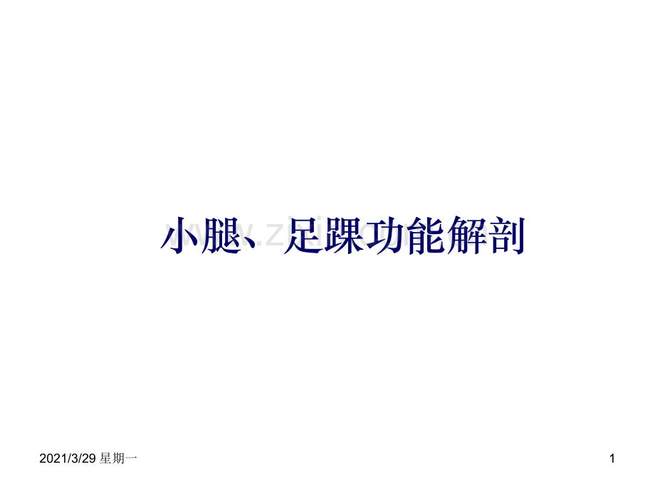 足踝部解剖讲课.ppt_第1页