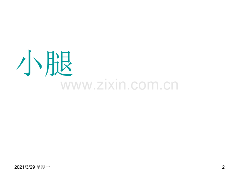 足踝部解剖讲课.ppt_第2页