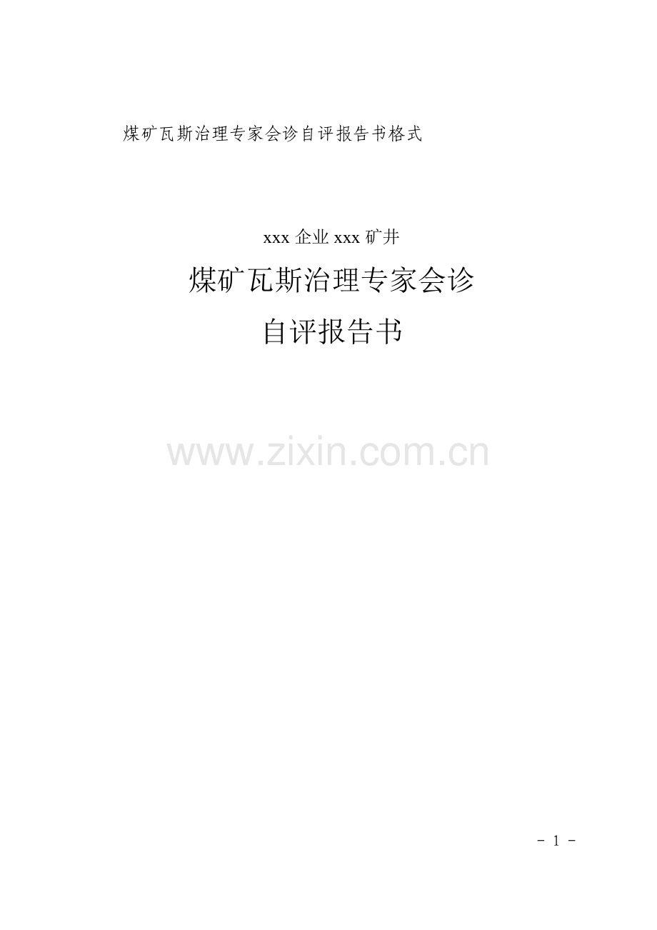 煤矿瓦斯治理专家会诊自评报告书格式.doc_第1页