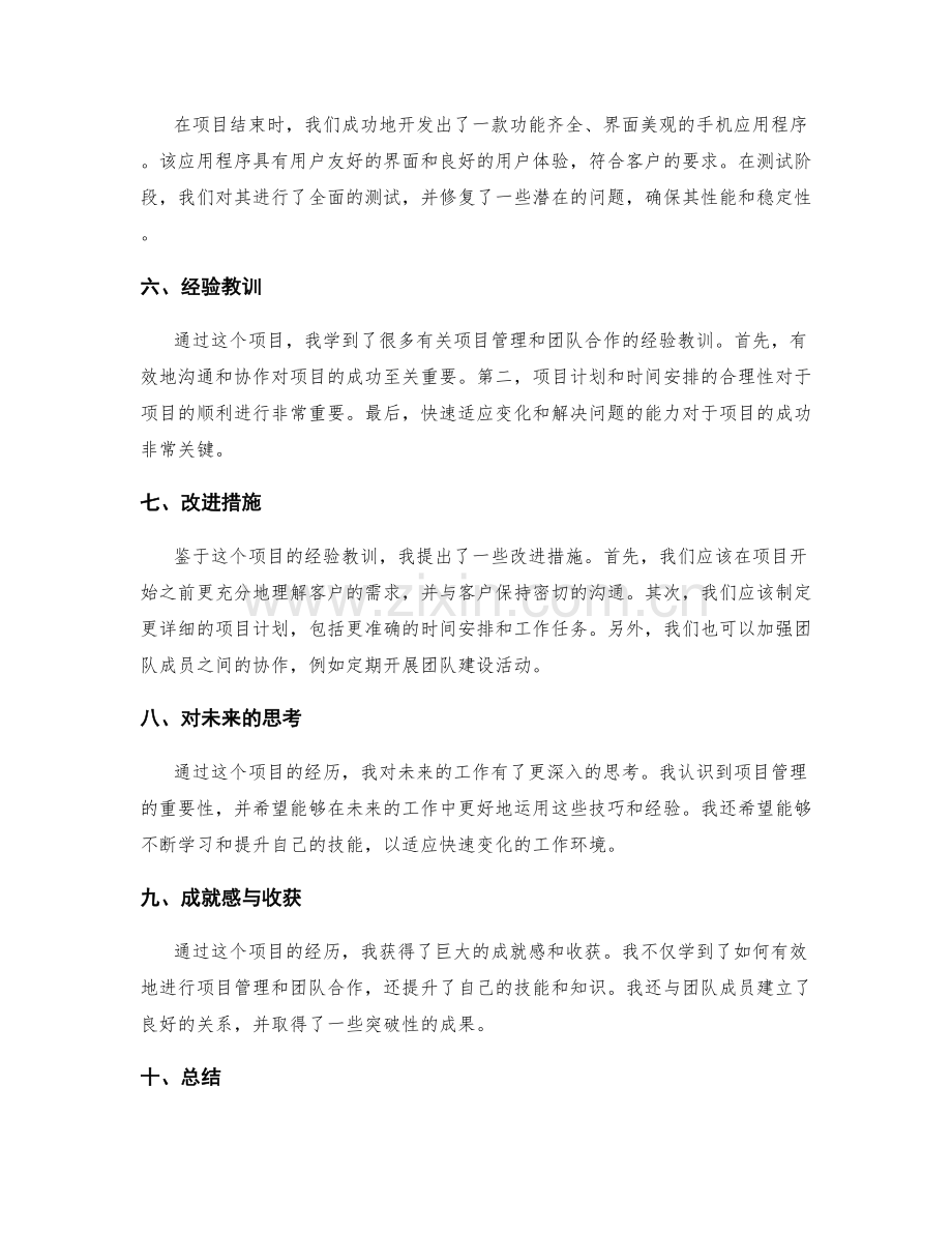 工作总结项目总结.docx_第2页