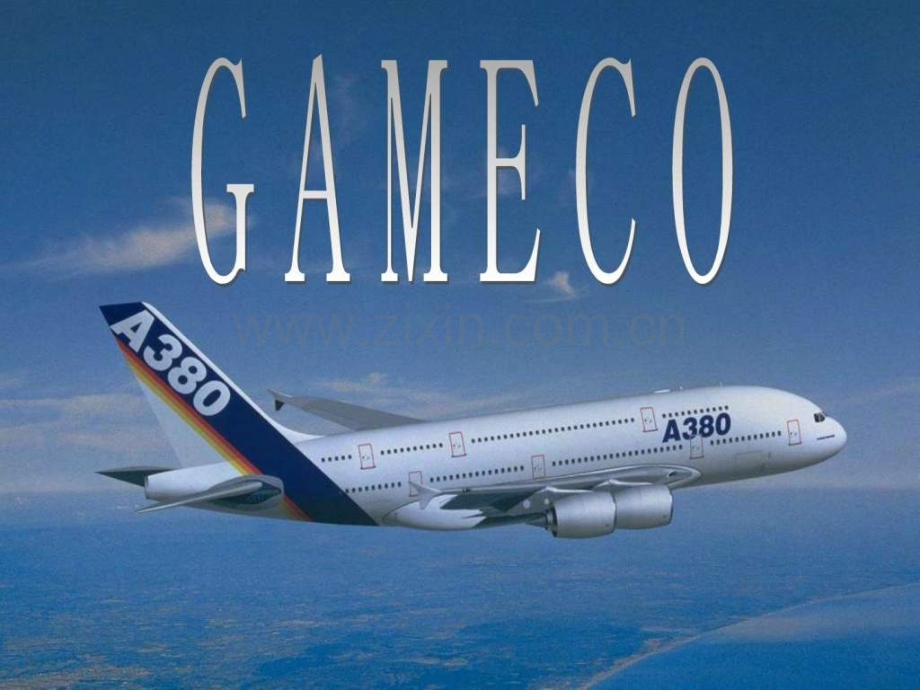英文介绍GAMECO维修公司.pptx_第1页